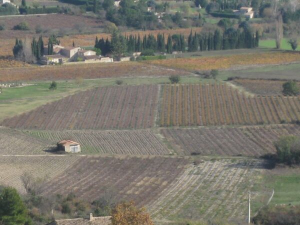 Apt et la Route des lavandes dans le Luberon : Sault et Gordes – Image 9